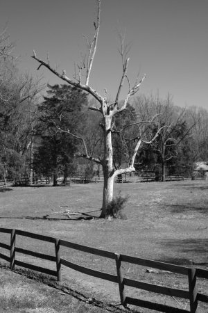 IMG_7817.jpeg