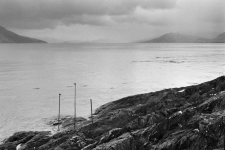 NIKONF0090.jpg