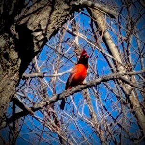 IMG_5908.jpeg
