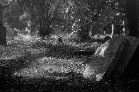 Leica IIIf - Roll 106 - Fine Grain 5302 - Rodinal (13 - ES).jpg Leica IIIf - Roll 106 - Fine Grain 5302 - Rodinal (13 - ES).jpg