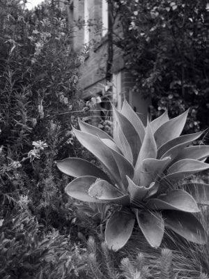 IMG_0326.jpeg