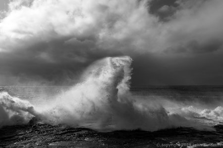 20250401-_MG_8546-Edit-1024-RFF.jpg
