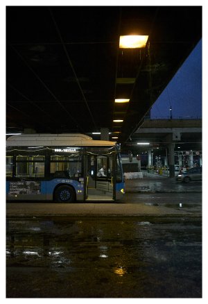L9995591 1.jpg