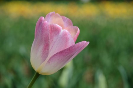 DSCF2541.jpg