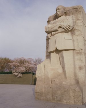 Cherry Blossoms - Nikon FA - 28mm f2 - Kodak 5203-4 - small.jpg Cherry Blossoms - Nikon FA - 28mm f2 - Kodak 5203-4 - small.jpg