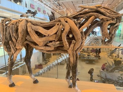 Museo delle Scienze, Trento.jpeg
