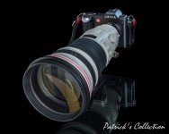 Eqpt Leica SL601 Canon EF 400F28 L IS II USM-1211.jpg