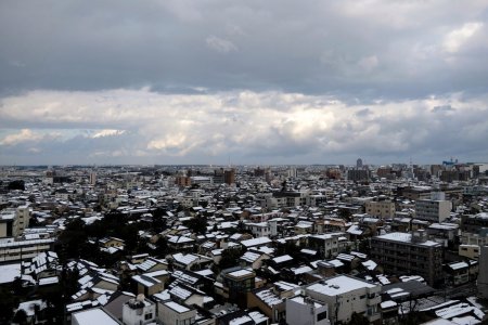 DSCF0191.jpg