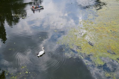 Image_223.jpg