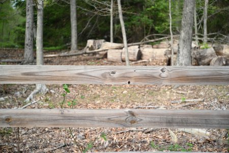 DSC_7405.jpg