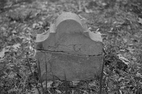 L1007014-Edit.jpg L1007014-Edit.jpg