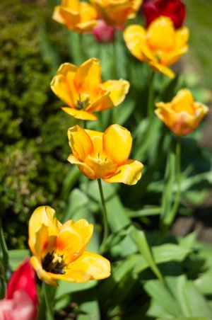 L1018408.jpg