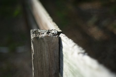 DSC_7452.jpg