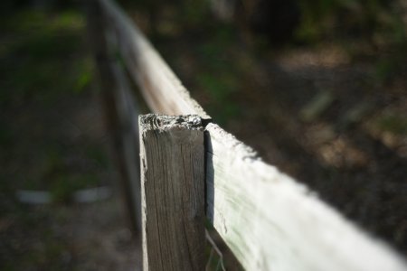 DSC_7453.jpg