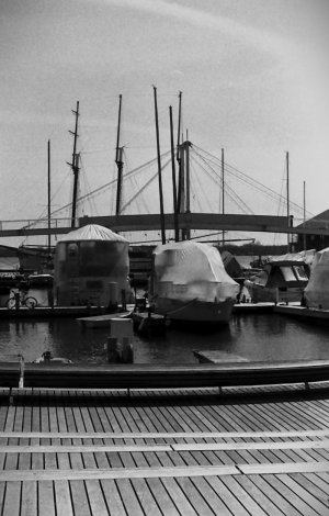 2025-4-15.hp5-29bw.JPG