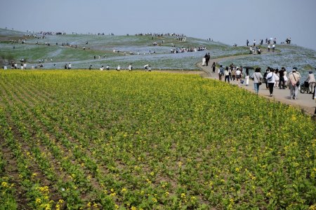 DSCF1288.jpg