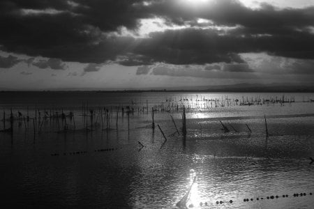 L1010015.JPG