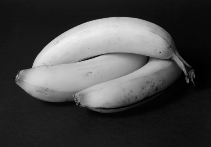 20031119MRTOMLINSON_bananas2.JPG