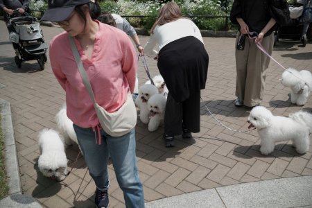 DSCF3578.jpg