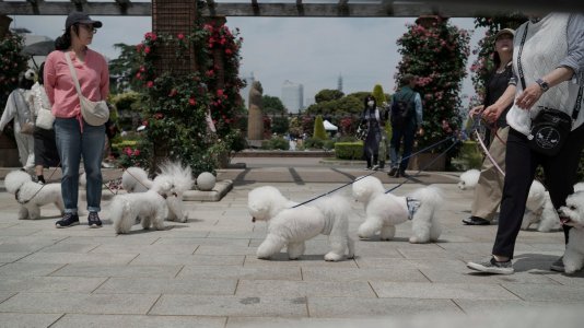 DSCF3580.jpg