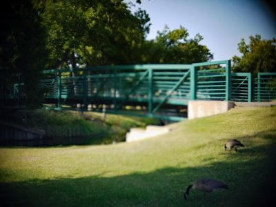 7-27-2023 Shanley Park Granbury Toy Lens Processed Resized For Web P1020214.jpg