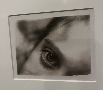 IMG_0828.jpeg