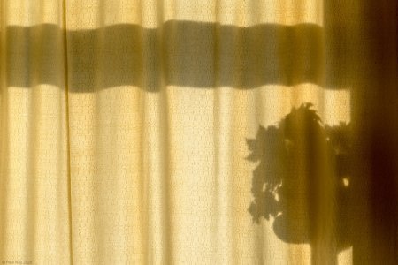 Sun on the curtain © Paul Kay 2025.jpg