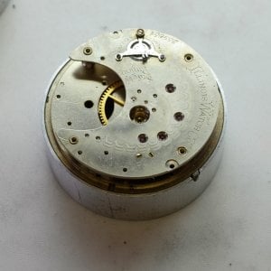 _DSF9958.jpg _DSF9958.jpg