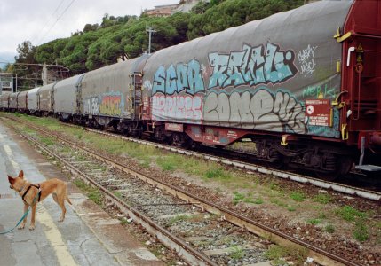 IMG_9188.jpeg