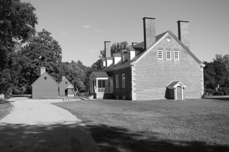 L1003798.jpg L1003798.jpg