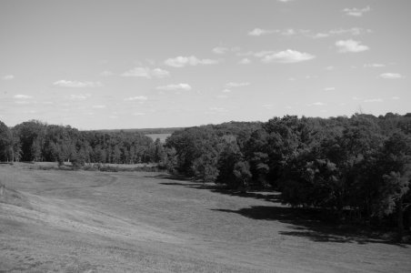 L1003806.jpg L1003806.jpg