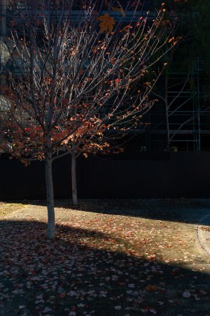 L9008189.jpg L9008189.jpg