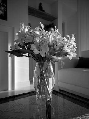 IMG_0712.png