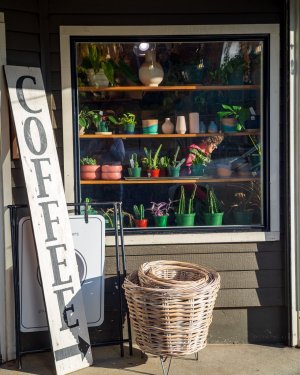 Jupiter 9 Coffee Resized.jpg