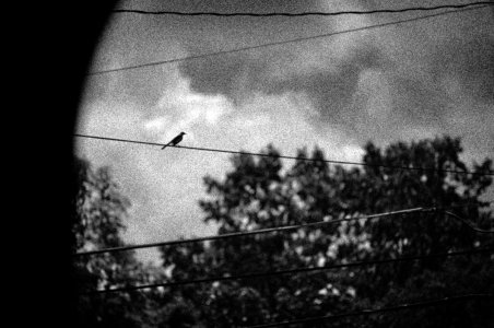 AZ6_0032-2-2.jpg