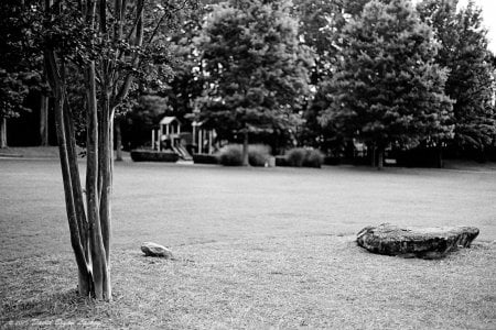 Summergrove Park 2025 6x9 FINAL.jpeg Summergrove Park 2025 6x9 FINAL.jpeg