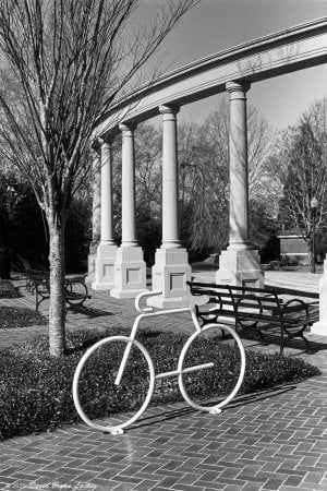 2025 Nikkormat FTN Bicycle in the Morning FINAL_.jpeg