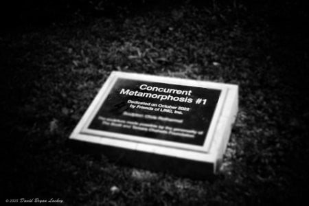 Metamorphosis Plaque 2025 6x9 FINAL.jpeg
