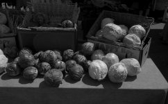 D0CC77E6-4E13-46CA-9F55-EA8B0F155CB0.jpeg D0CC77E6-4E13-46CA-9F55-EA8B0F155CB0.jpeg