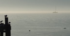 U3565.1640791879.0.jpg