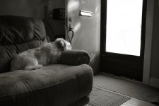 _LS20005-1-1-2.jpg
