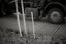 _LS20015-1-1-1-2.jpg