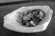 DSC_0079.jpg DSC_0079.jpg