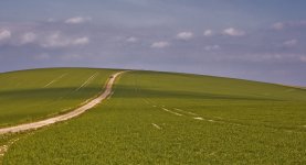 bignor-hill-02.jpg bignor-hill-02.jpg