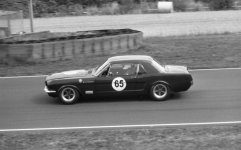 Racing Mustang