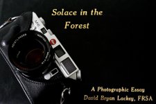 Leica M6 Solace in the Forest_-2.jpg
