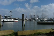 Click image for larger version  Name:	Ilwaco Harbor.jpg Views:	0 Size:	284.6 KB ID:	4778390