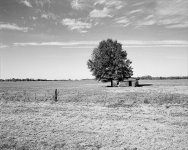 house-tree-empty-field.jpg