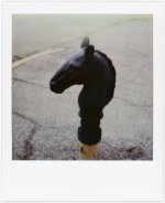 polaroid-5-27-22-horse.jpg polaroid-5-27-22-horse.jpg