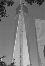 WTC - small.jpg